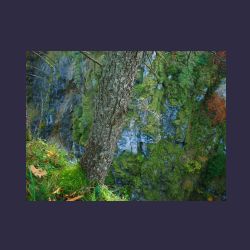 2012-10-20_Fall_AQUILA (347)b.JPG